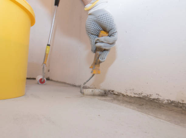 Best Termite Inspection and Treatment  in Belvedere, CA